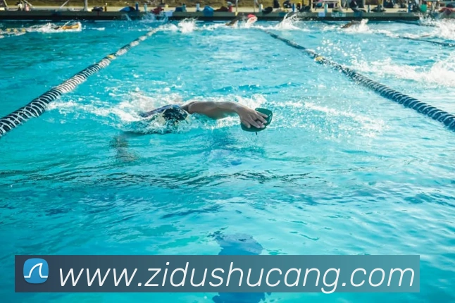 多媒体互动体验